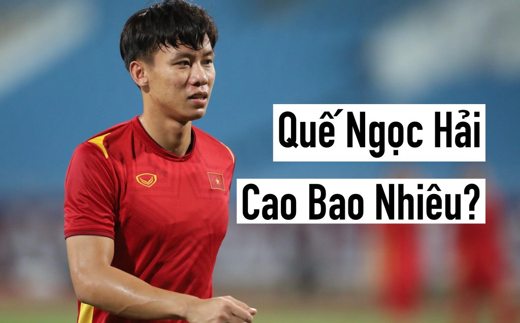 Quế Ngọc Hải Cao Bao Nhiêu